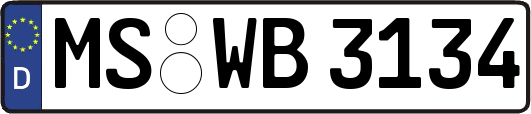 MS-WB3134