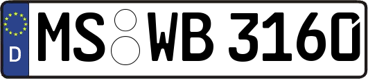 MS-WB3160