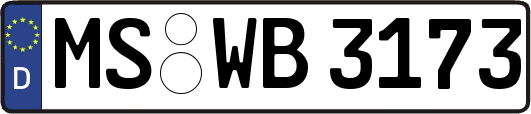 MS-WB3173