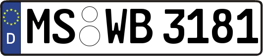 MS-WB3181