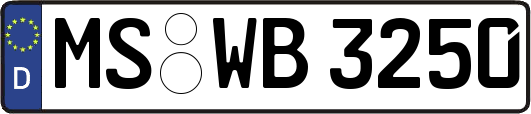 MS-WB3250