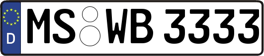 MS-WB3333