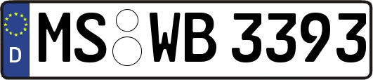 MS-WB3393