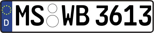 MS-WB3613