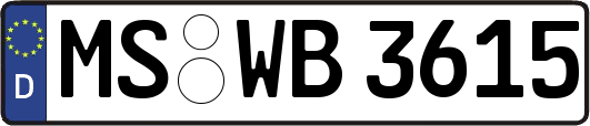 MS-WB3615