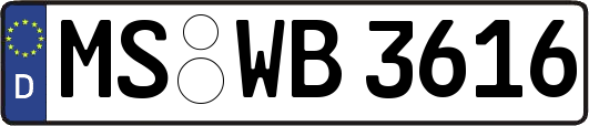 MS-WB3616