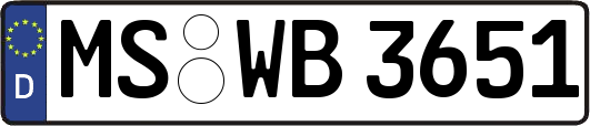 MS-WB3651
