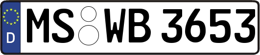 MS-WB3653