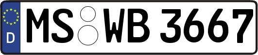 MS-WB3667