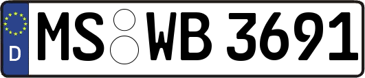 MS-WB3691
