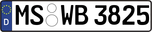 MS-WB3825