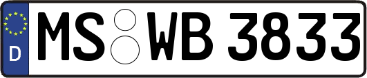 MS-WB3833