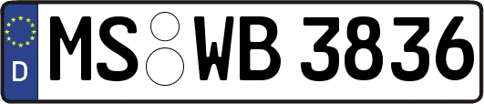 MS-WB3836