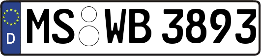 MS-WB3893