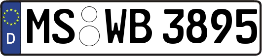MS-WB3895