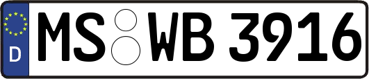 MS-WB3916
