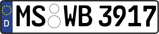 MS-WB3917