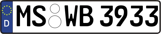 MS-WB3933
