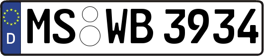 MS-WB3934