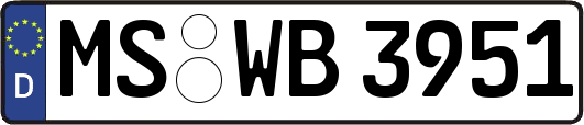 MS-WB3951