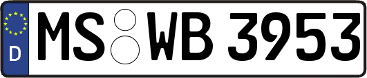 MS-WB3953