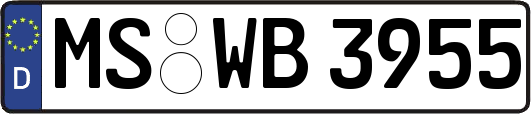 MS-WB3955