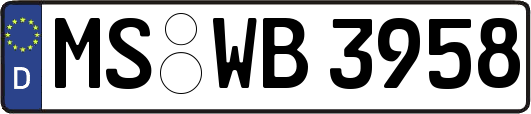 MS-WB3958