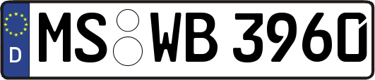 MS-WB3960