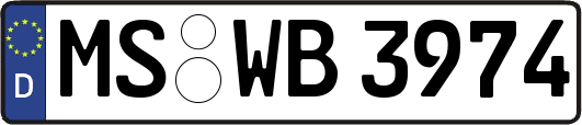 MS-WB3974