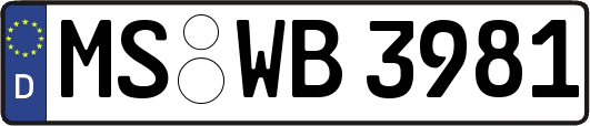 MS-WB3981