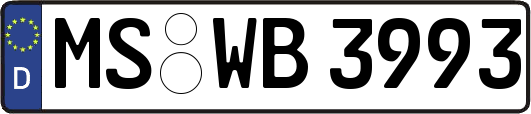 MS-WB3993