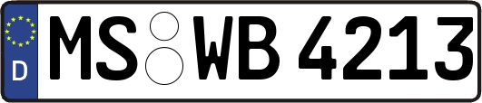 MS-WB4213
