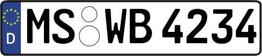 MS-WB4234