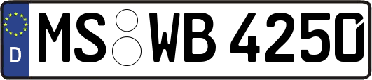 MS-WB4250