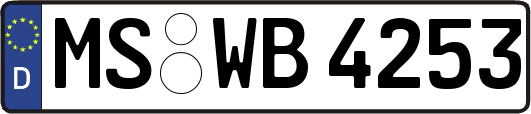 MS-WB4253