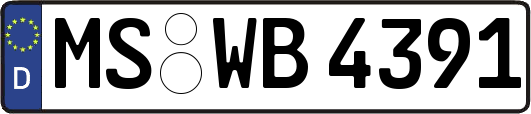 MS-WB4391