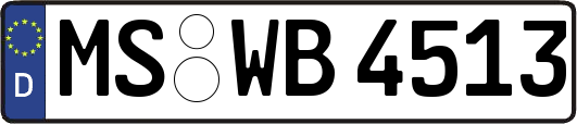MS-WB4513