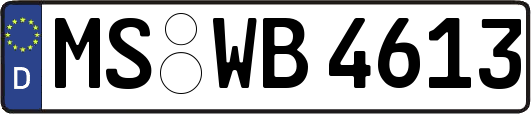 MS-WB4613