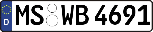 MS-WB4691
