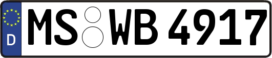 MS-WB4917