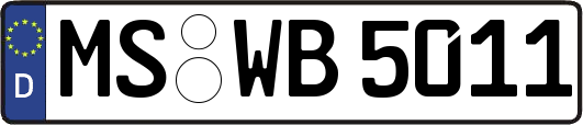 MS-WB5011