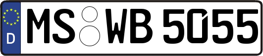 MS-WB5055