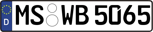MS-WB5065