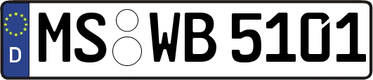 MS-WB5101