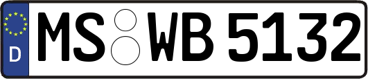 MS-WB5132