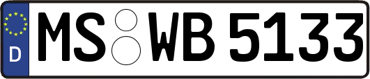MS-WB5133