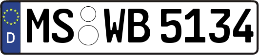MS-WB5134
