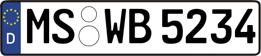 MS-WB5234