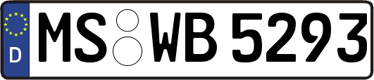 MS-WB5293
