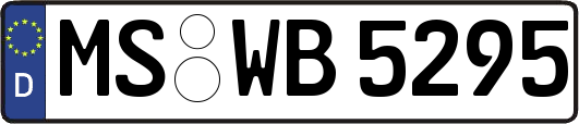 MS-WB5295